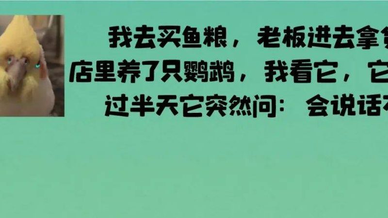 蜜饯果干代理：揭秘利润空间与行业真相