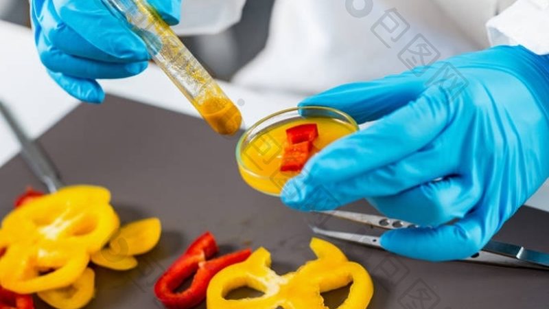 成都餐饮供应链代理公司：揭秘高效供应链背后的秘密